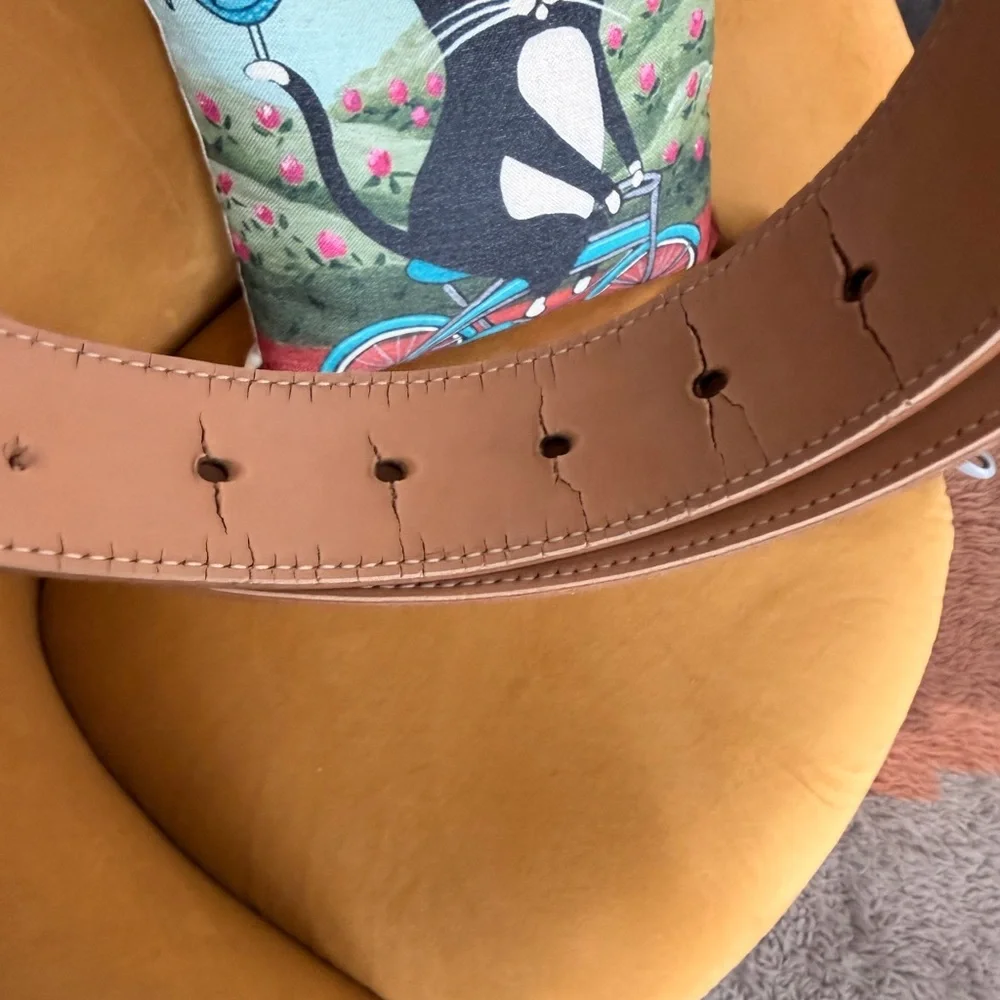 Vintage Multicolor Butterfly Belt